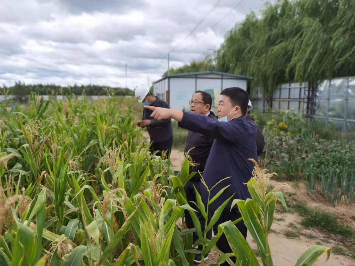 圖片2.png 圖片2.png